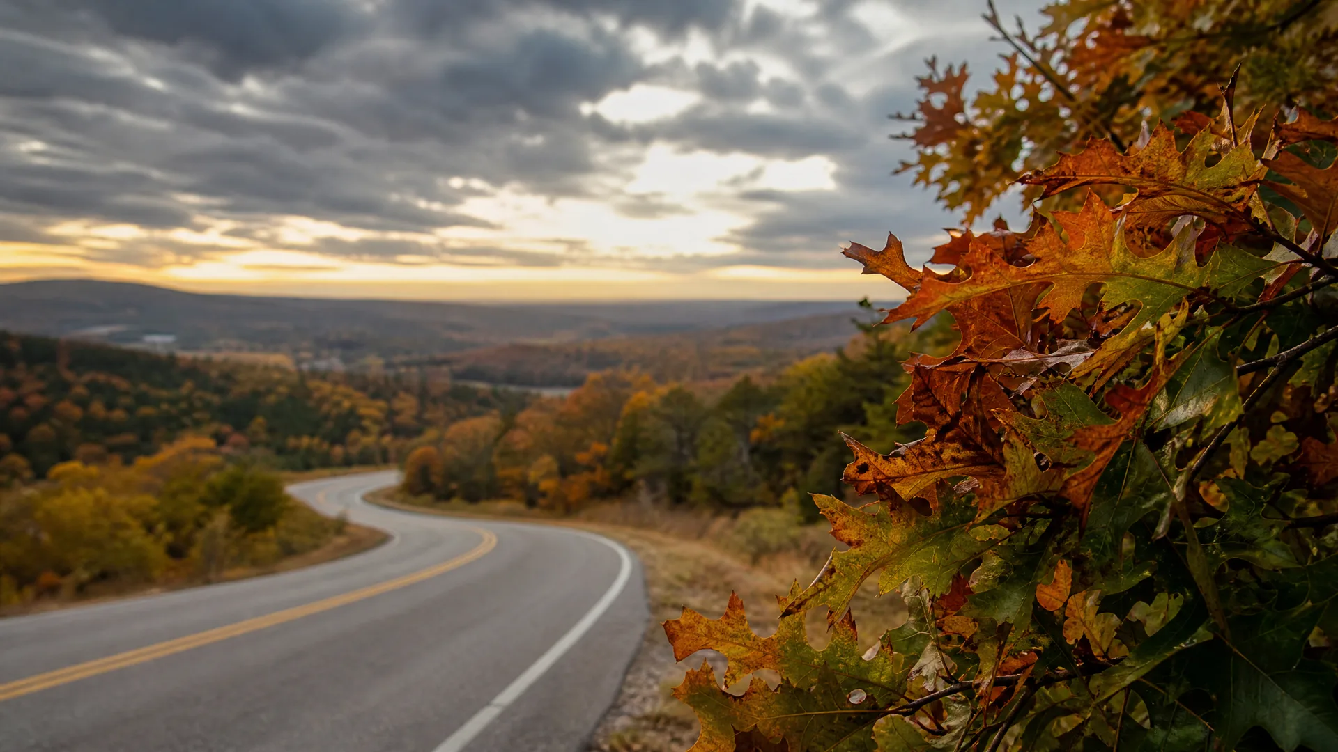 A curving two-lane paved road with yellow center lines runs along a forested ridge overlooking rolling hills at sunset, with a cluster of orange and green oak leaves in sharp focus at the right edge.