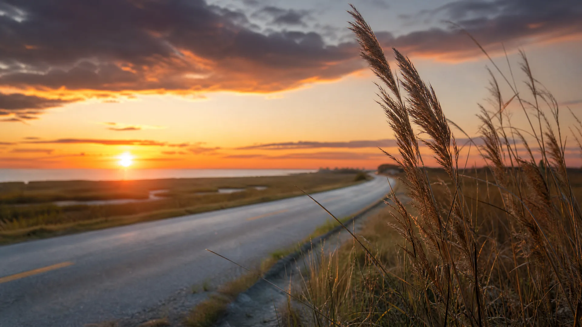 A two-lane paved road curves through flat coastal marsh grass at sunset, with tall seed-topped grasses in sharp focus at the right and the sun low over water in the distance.