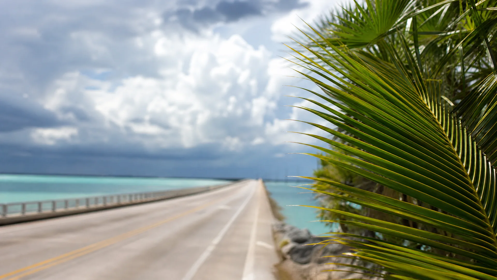 A two-lane highway on a causeway crosses turquoise water under a cloudy sky, with a palm frond filling the right side of the frame in close focus.