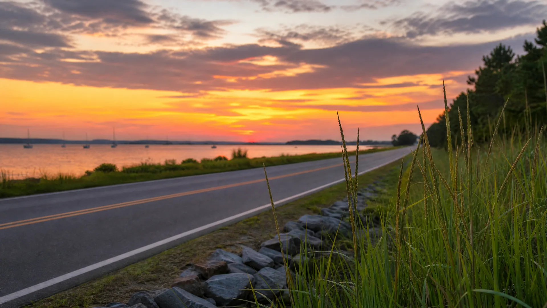 A two-lane road with a double yellow center line runs alongside a calm bay with moored sailboats at sunset, with tall grasses and rip-rap stones in the foreground and trees on the right.