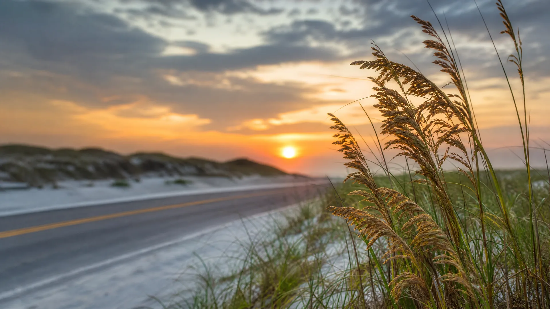 A two-lane road with a yellow center line curves past low sand dunes at sunset, with tall seed-topped grasses in sharp focus in the right foreground under an orange and gray cloudy sky.